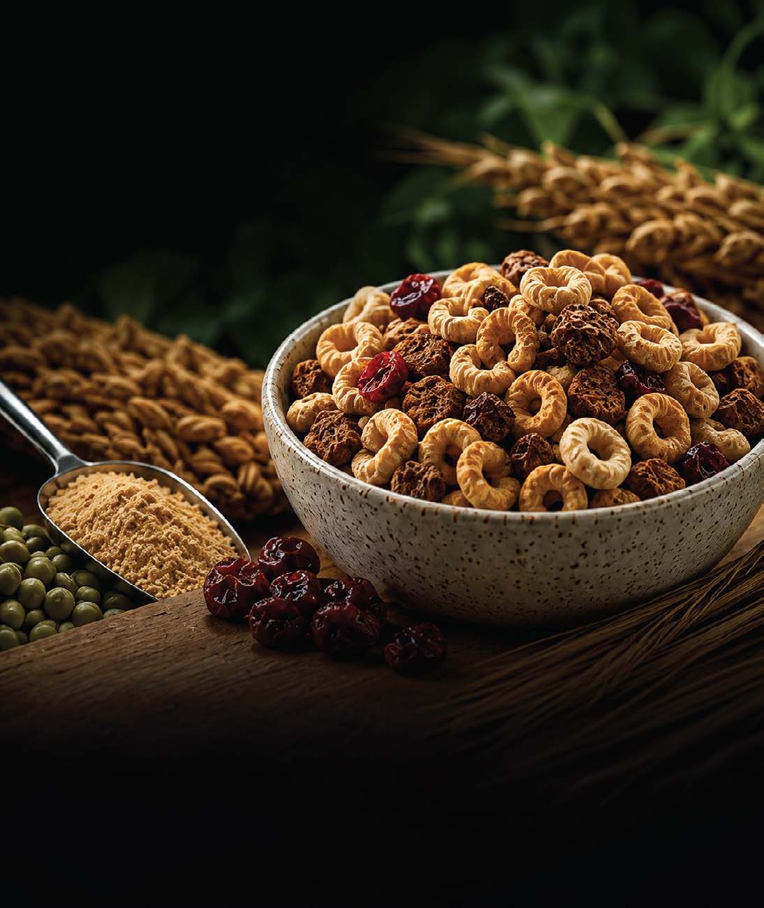 Nutraceutical extrusion — functional foods